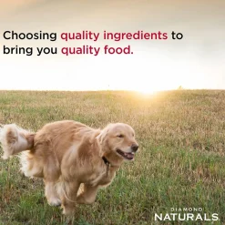 Best Naturals Dog Food Large Breed Adult Chicken & Rice Food Dry, Wet, Freeze Dried, Etc.