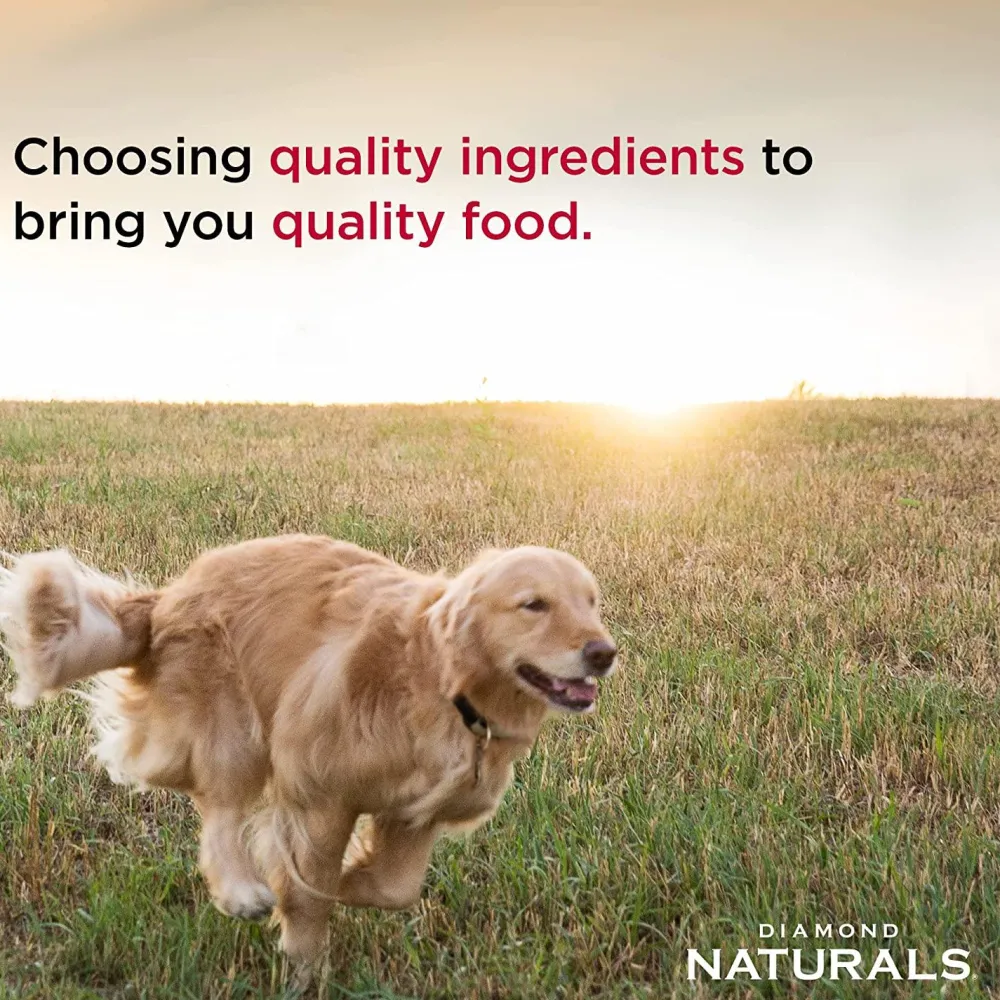 Best Naturals Dog Food Large Breed Adult Chicken & Rice Food Dry, Wet, Freeze Dried, Etc.