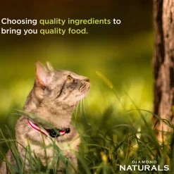 Discount Naturals Whitefish Dinner Wet Food For Adult Cats and Kittens Wet Food Cans, Pouches, Tetra Paks, Etc.