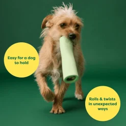 Sale Green Rubber Chew Dog Toy Supplies Leashes, Collars, Beds, Flea & Tick, Etc. | Toys Interactive, Plush, Etc.