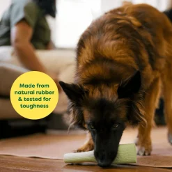 Sale Green Rubber Chew Dog Toy Supplies Leashes, Collars, Beds, Flea & Tick, Etc. | Toys Interactive, Plush, Etc.