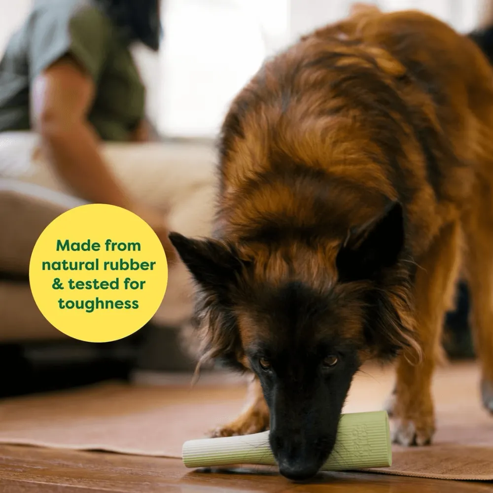 Sale Green Rubber Chew Dog Toy Supplies Leashes, Collars, Beds, Flea & Tick, Etc. | Toys Interactive, Plush, Etc.