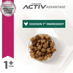 Outlet Large Breed Weight Control Fit Body Dog Food Food Dry, Wet, Freeze Dried, Etc.
