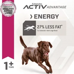 Outlet Large Breed Weight Control Fit Body Dog Food Food Dry, Wet, Freeze Dried, Etc.