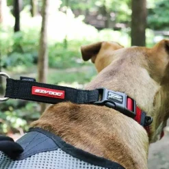 New Checkmate Dog Collar Black Supplies Leashes, Collars, Beds, Flea & Tick, Etc.