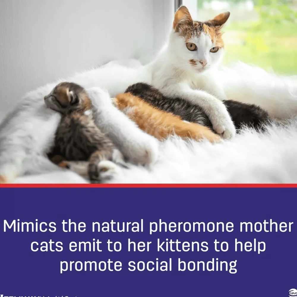 Best MultiCat 30 Day Starter Kit Calming Diffuser for Cats Supplies Collars, Scratchers, Toys, Etc.