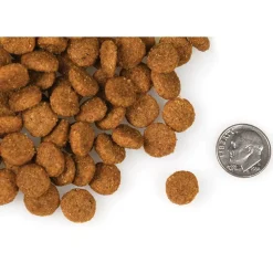 Hot Four Star Canine Pork & Applesauce Food Dry, Wet, Freeze Dried, Etc.