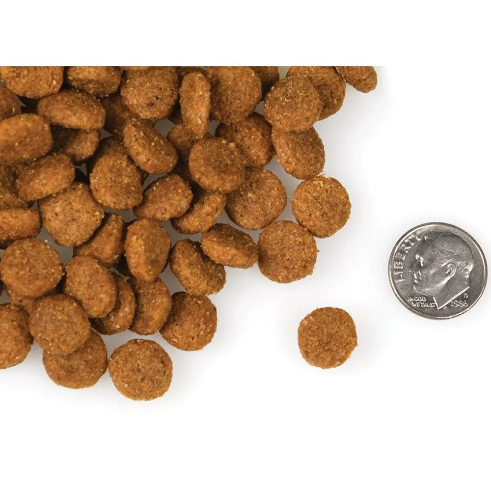 Hot Four Star Canine Pork & Applesauce Food Dry, Wet, Freeze Dried, Etc.