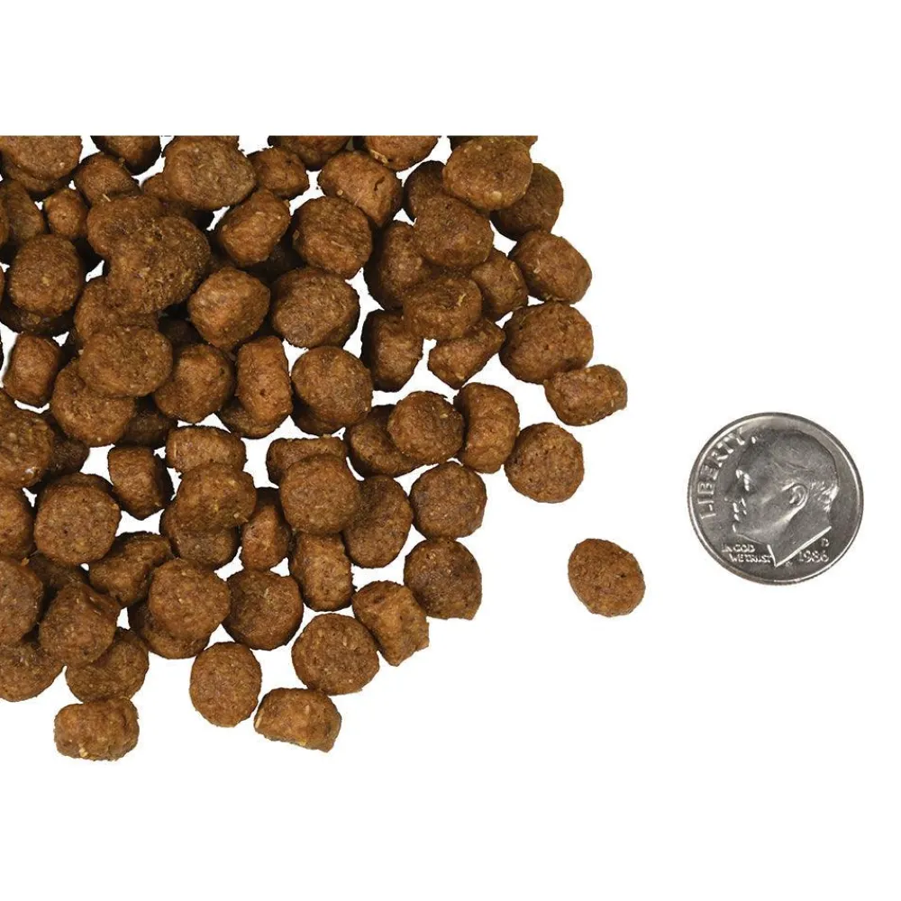 New Four Star Canine Salmon A La Veg Food Dry, Wet, Freeze Dried, Etc.