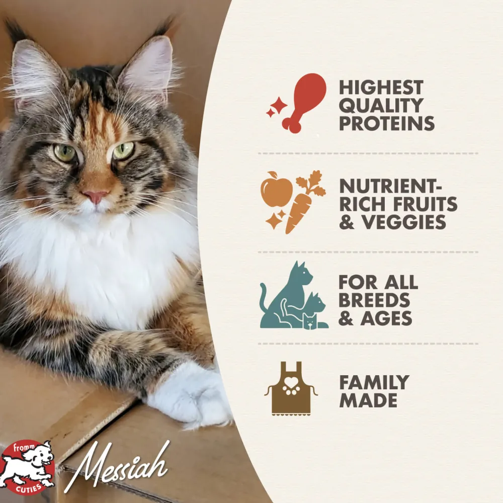 Sale Four Star Cat Adult Game Bird Dry Food Dry Cat Food