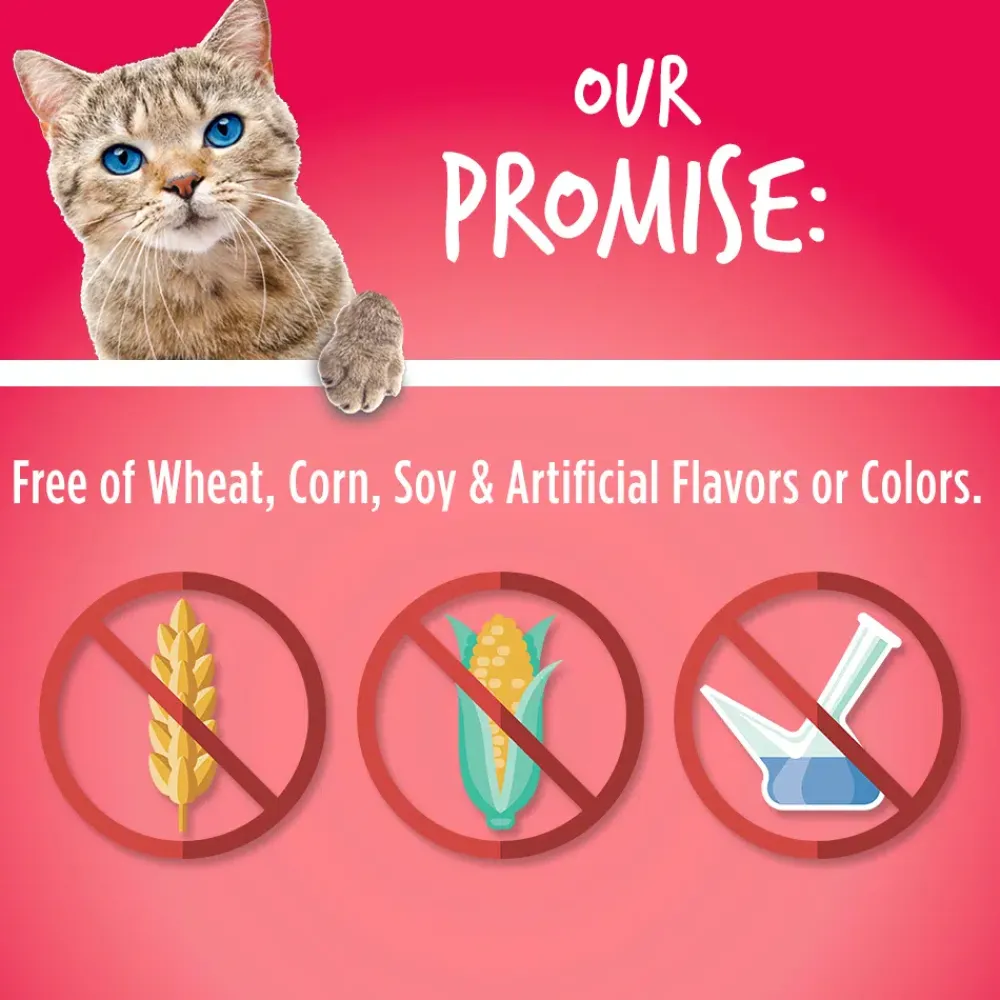 New Cat Treat Salmon & Cranberry Treats Crunchy, Soft, Lickable, Etc.
