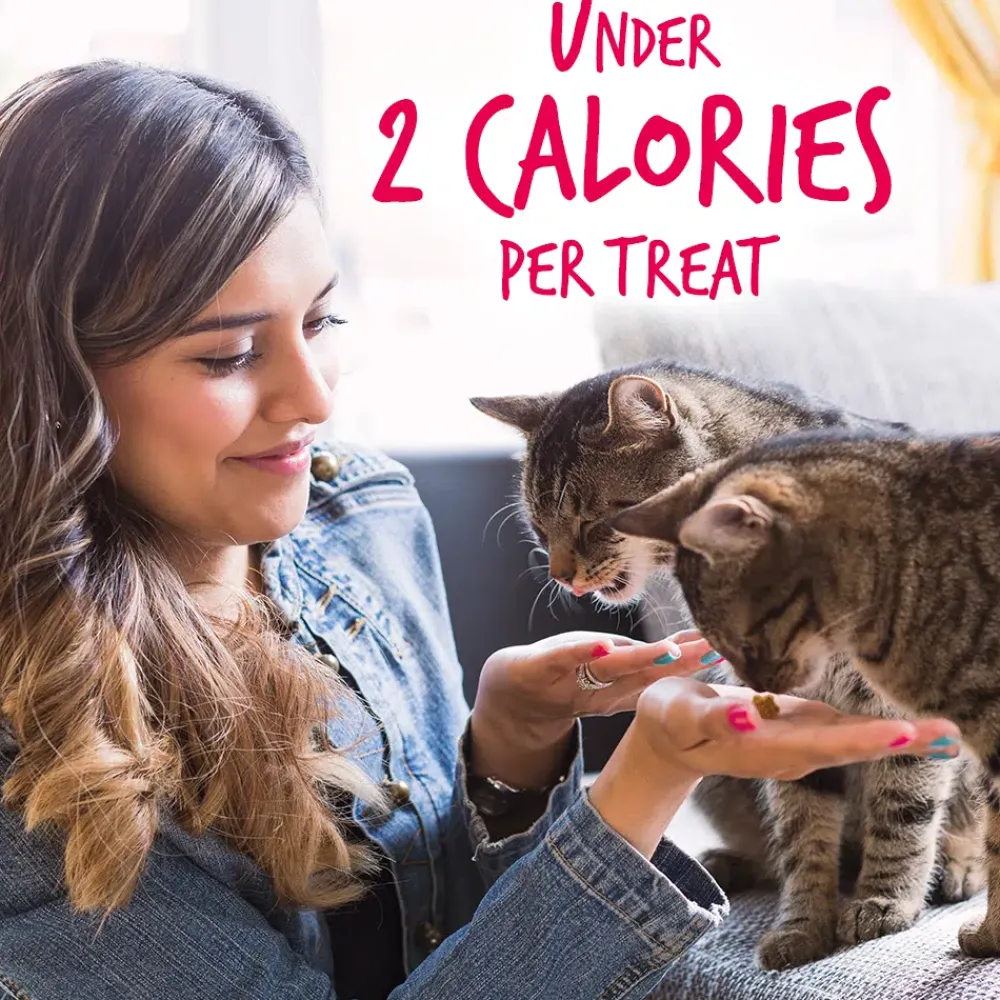 New Cat Treat Salmon & Cranberry Treats Crunchy, Soft, Lickable, Etc.