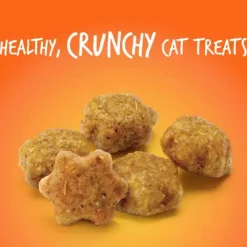 New Cat Treat Tuna & Pumpkin Treats Treats & Chews