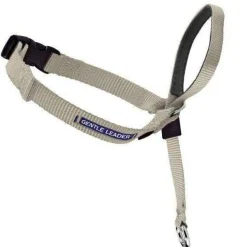 Discount Supplies Leashes, Collars, Beds, Flea & Tick, Etc.
