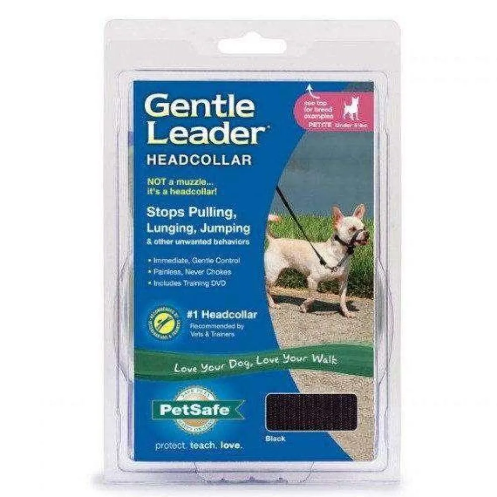 Discount Supplies Leashes, Collars, Beds, Flea & Tick, Etc.
