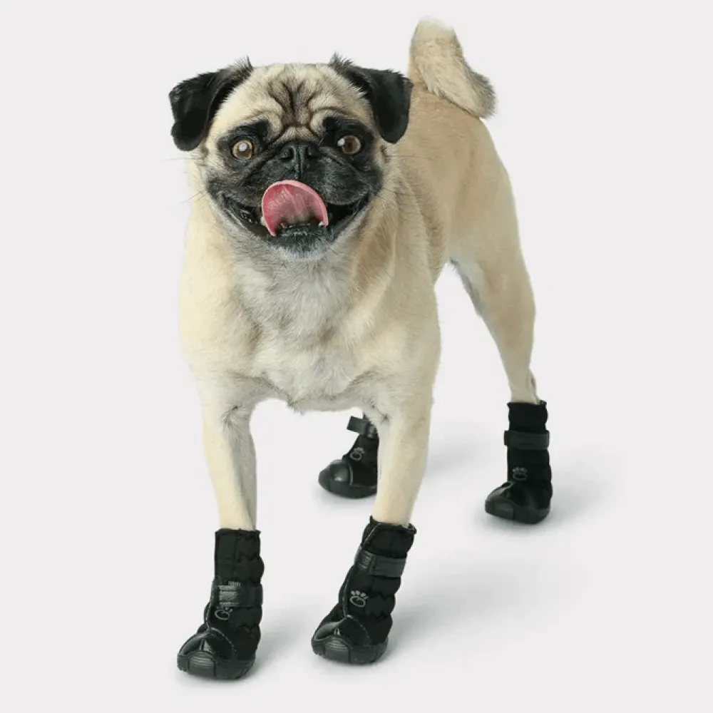 Outlet Elastofit Boots For Dogs Supplies Leashes, Collars, Beds, Flea & Tick, Etc.