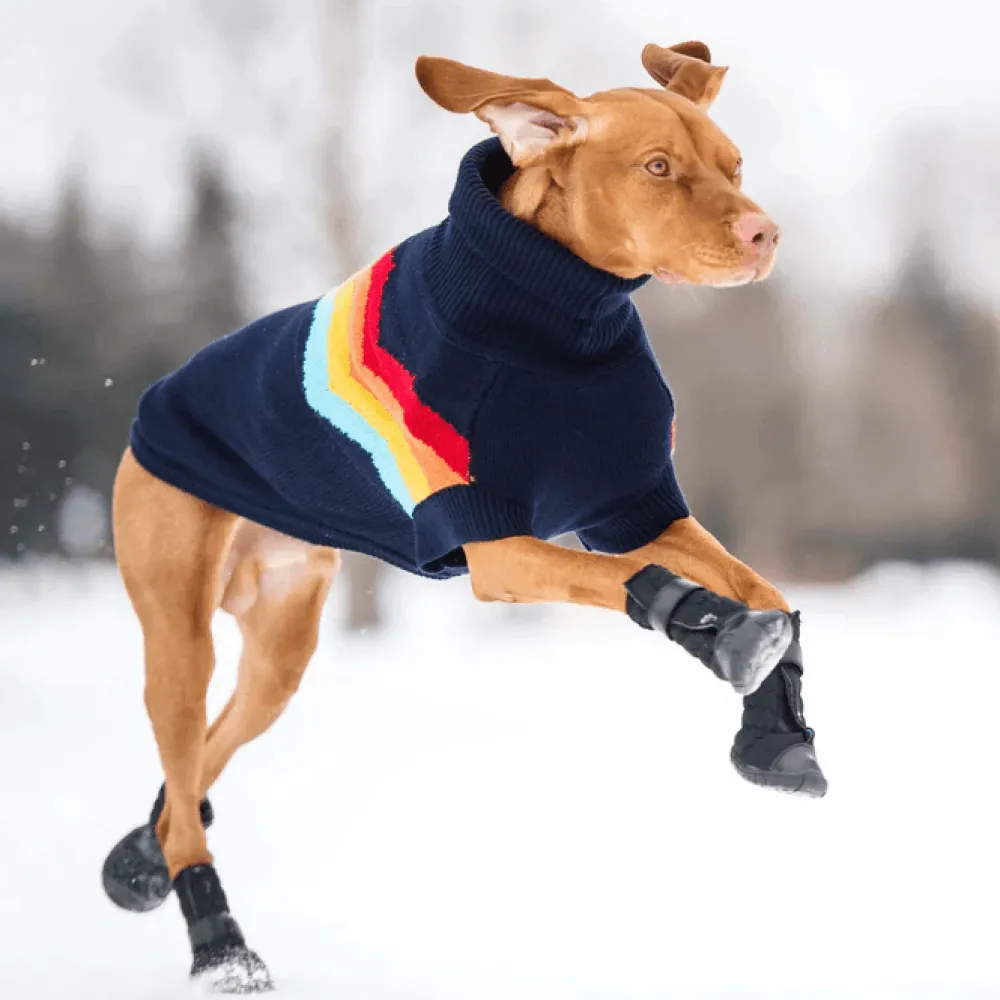 Outlet Elastofit Boots For Dogs Supplies Leashes, Collars, Beds, Flea & Tick, Etc.