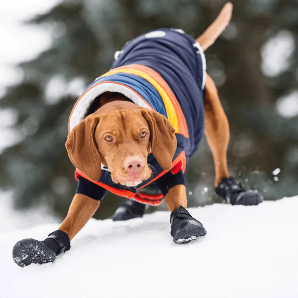 Outlet Elastofit Boots For Dogs Supplies Leashes, Collars, Beds, Flea & Tick, Etc.