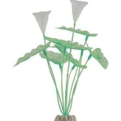 Best Colour-Changing Plant Extra Large Green Shop Fish Find All Of The Essentials