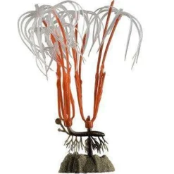 Discount Colour-Changing Plant Medium Orange Shop Fish Find All Of The Essentials