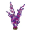 Hot Plant Extra Large Purple Pink Shop Fish Find All Of The Essentials