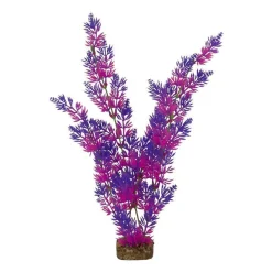 Hot Plant Extra Large Purple Pink Shop Fish Find All Of The Essentials