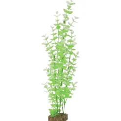 Hot Plant Extra Large Green White Shop Fish Find All Of The Essentials