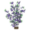 Best Plant Extra Large Purple Green Shop Fish Find All Of The Essentials