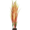 Sale Plant Extra Large Orange Yellow Shop Fish Find All Of The Essentials