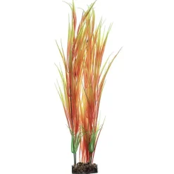 Sale Plant Extra Large Orange Yellow Shop Fish Find All Of The Essentials
