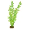 Clearance Plant Extra Large Green Yellow Shop Fish Find All Of The Essentials