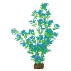 Clearance Plant Extra Large Green Blue Shop Fish Find All Of The Essentials