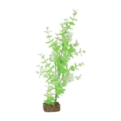 New Plant Large Green White Shop Fish Find All Of The Essentials