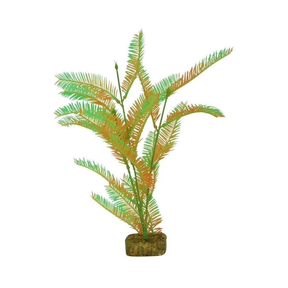New Plant Large Green Orange Shop Fish Find All Of The Essentials