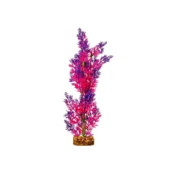 Discount Plant Large Purple Pink Shop Fish Find All Of The Essentials