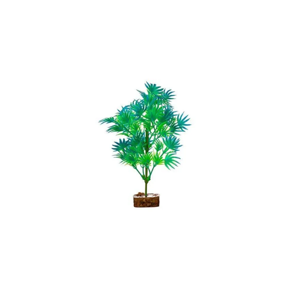 Outlet Plant Medium Green Blue Shop Fish Find All Of The Essentials