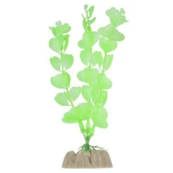 Fashion Plant Medium Green Shop Fish Find All Of The Essentials