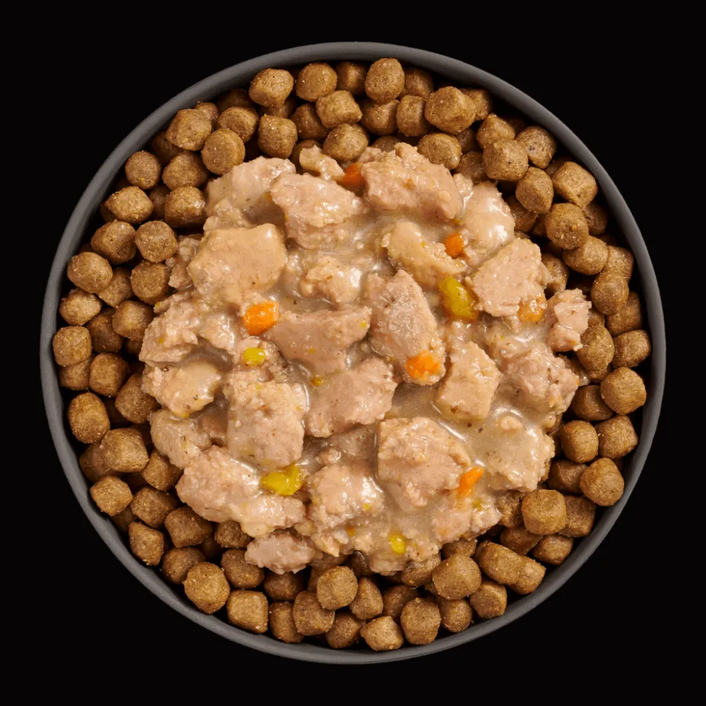 Best Booster Brain Health Minced Chicken + Salmon with gravy for cats Wet Food Cans, Pouches, Tetra Paks, Etc. | Dry Food Dry Cat Food