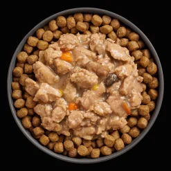 Clearance Booster Immune Health Minced Chicken + Salmon with gravy for cats Wet Food Cans, Pouches, Tetra Paks, Etc. | Dry Food Dry Cat Food