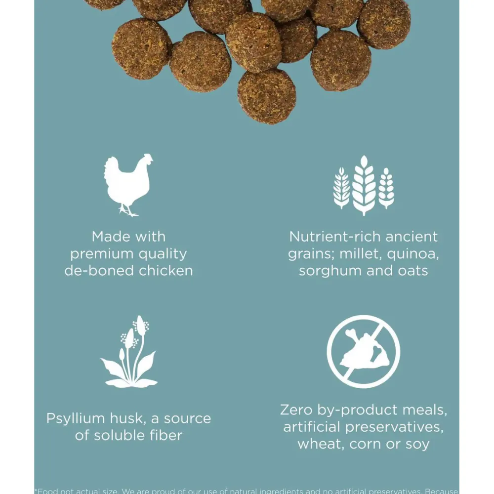 Online Digestion + Gut Health Chicken Recipe with Ancient Grains for dogs Food Dry, Wet, Freeze Dried, Etc.