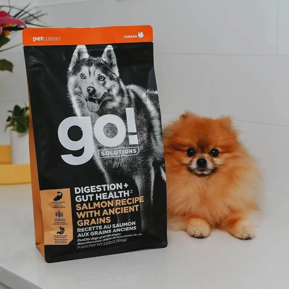 Fashion Digestion + Gut Health Salmon Recipe with Ancient Grains for dogs Food Dry, Wet, Freeze Dried, Etc.