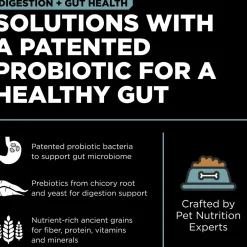 Online Digestion + Gut Health Chicken Recipe with Ancient Grains for dogs Food Dry, Wet, Freeze Dried, Etc.