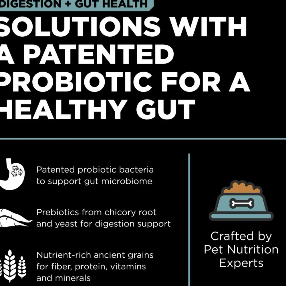 Online Digestion + Gut Health Chicken Recipe with Ancient Grains for dogs Food Dry, Wet, Freeze Dried, Etc.