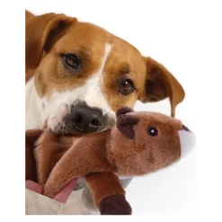 Best ! Flattie Squirrel Brown Supplies Leashes, Collars, Beds, Flea & Tick, Etc. | Toys Interactive, Plush, Etc.