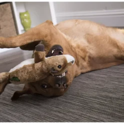 Best ! Flattie Squirrel Brown Supplies Leashes, Collars, Beds, Flea & Tick, Etc. | Toys Interactive, Plush, Etc.