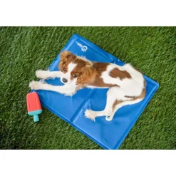 Fashion Go Fresh Pet Ice Cooling Mat Supplies Leashes, Collars, Beds, Flea & Tick, Etc.