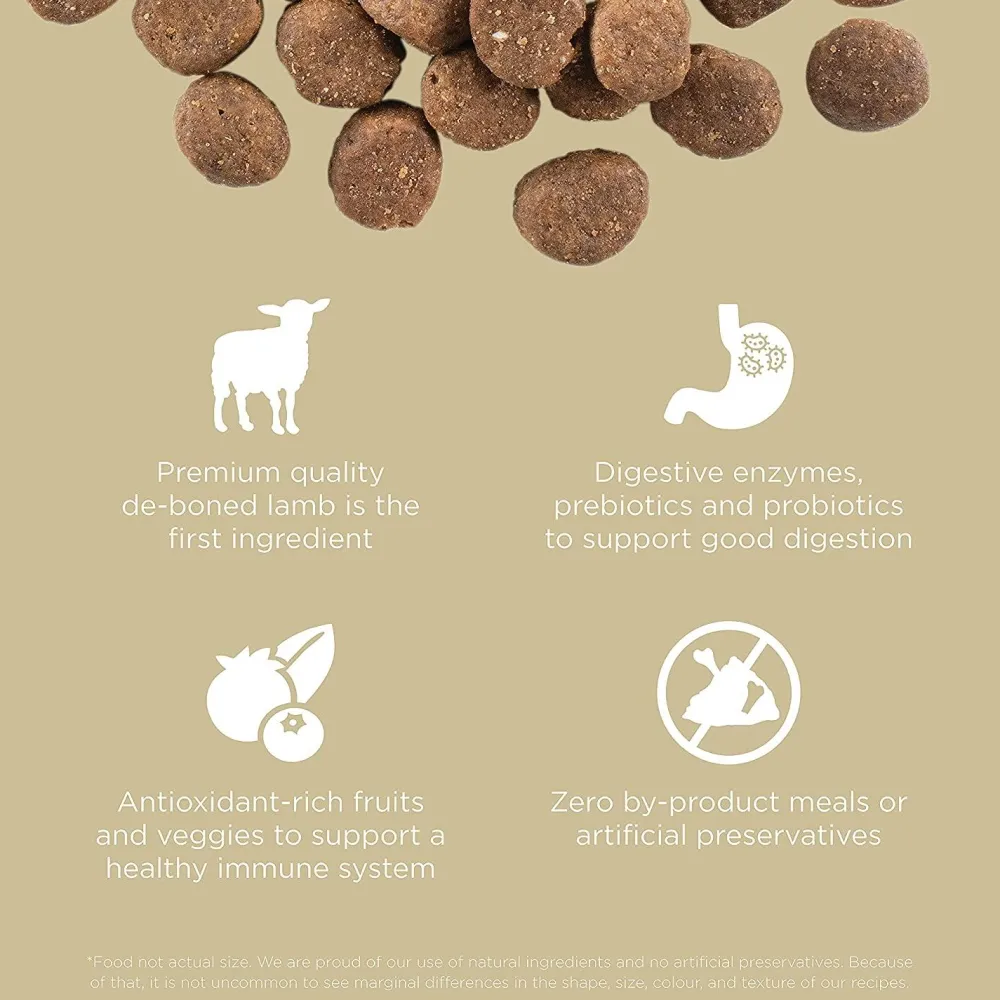 Outlet Grain-Free Lamb + Wild Boar recipe for dogs Food Dry, Wet, Freeze Dried, Etc.