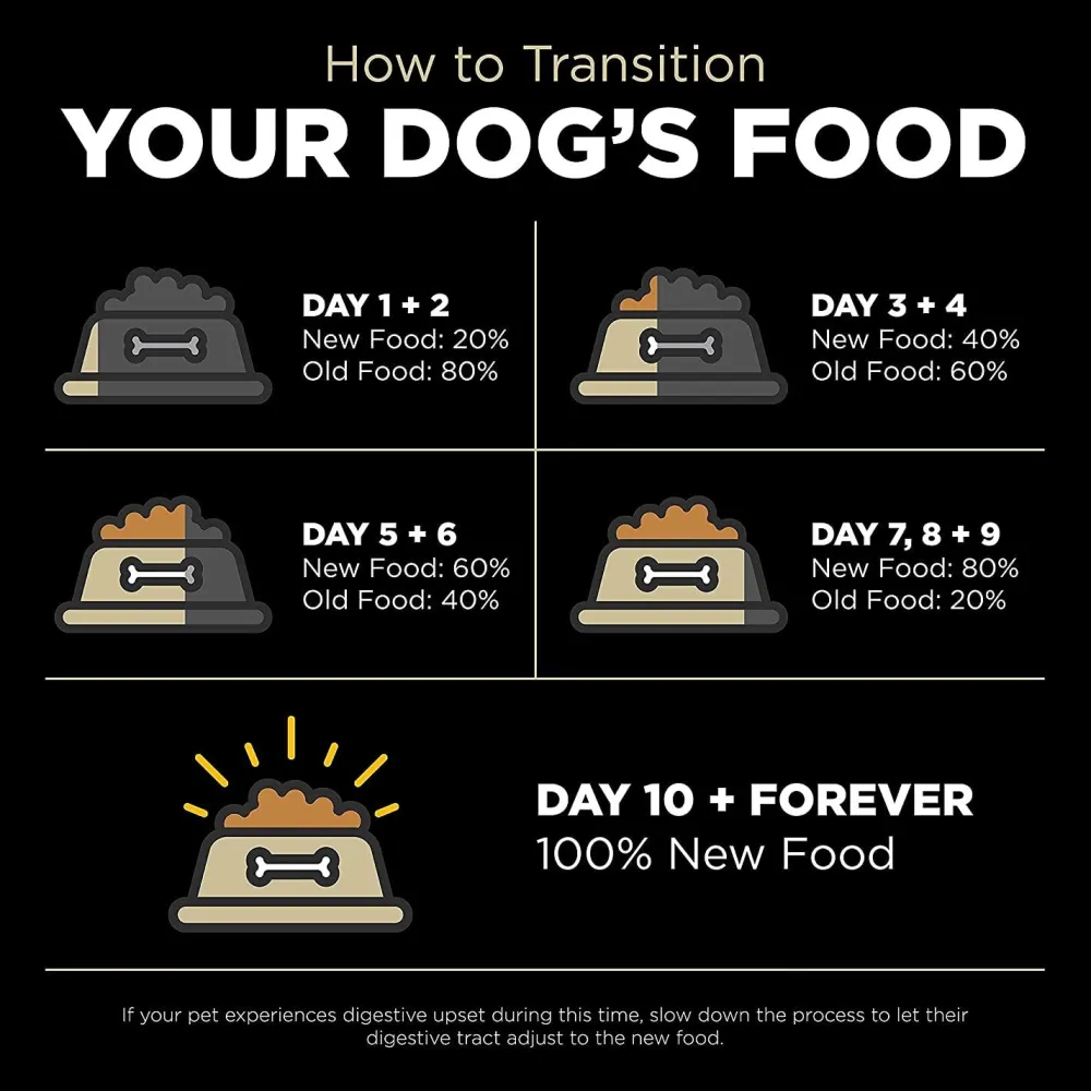 Outlet Grain-Free Lamb + Wild Boar recipe for dogs Food Dry, Wet, Freeze Dried, Etc.