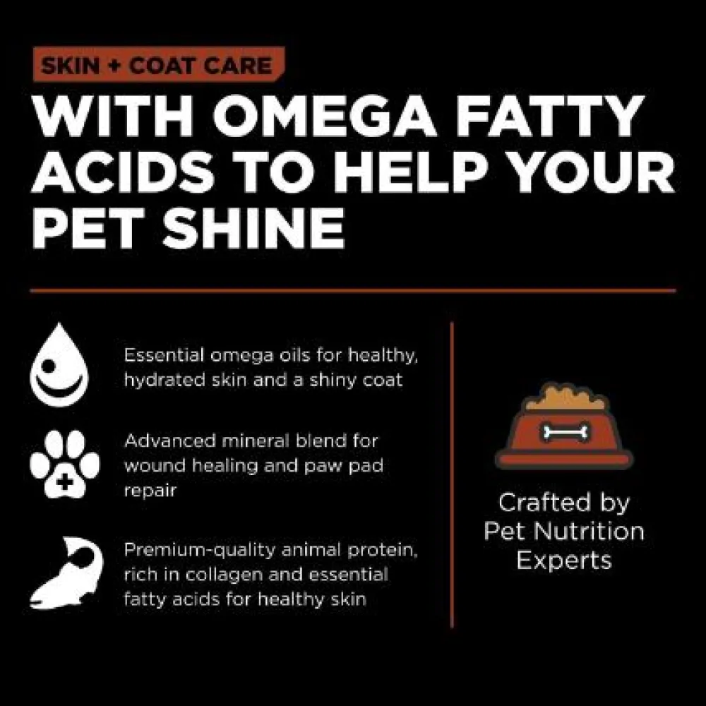 Clearance Skin + Coat Care Large Breed Adult Salmon Recipe With Grains for dogs Food Dry, Wet, Freeze Dried, Etc.