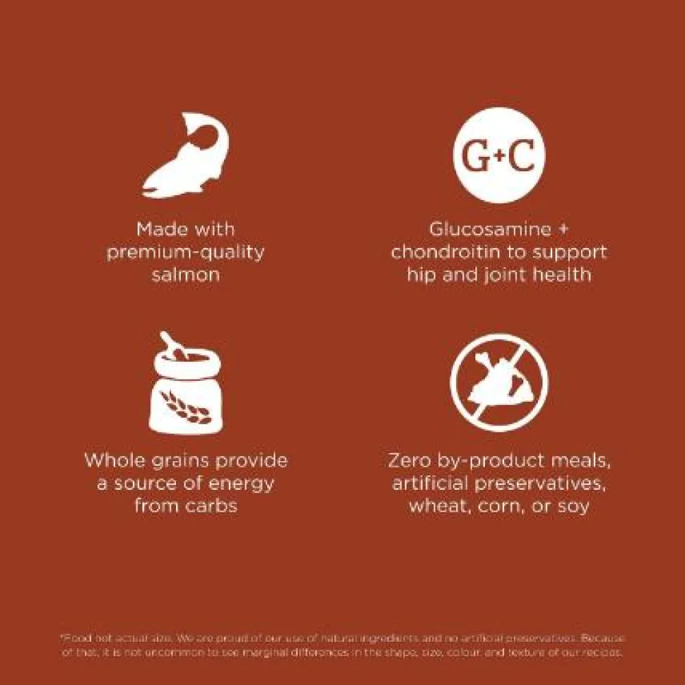 Clearance Skin + Coat Care Large Breed Adult Salmon Recipe With Grains for dogs Food Dry, Wet, Freeze Dried, Etc.